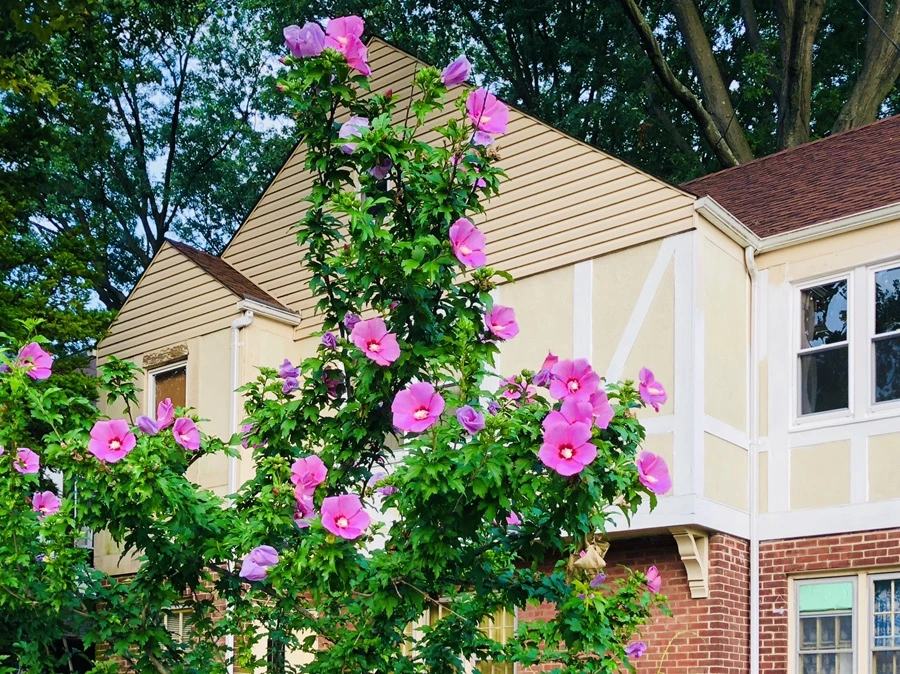 IMG_3658.jpg?type=w966