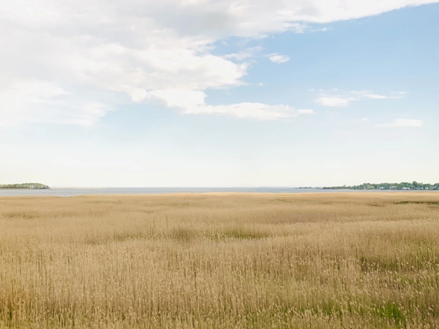 IMG_3202.jpg?type=w966