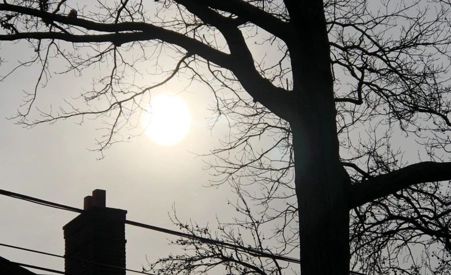 IMG_2181.jpg?type=w966