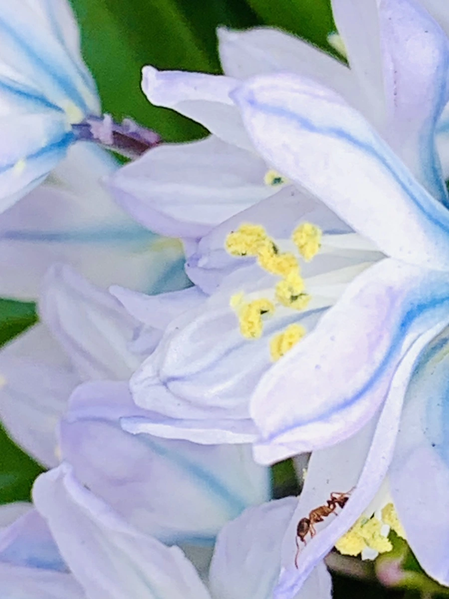 IMG_3531.jpg?type=w966