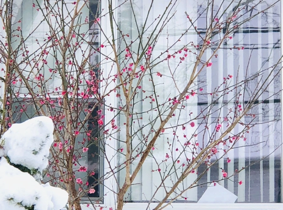 IMG_8946.jpg?type=w966