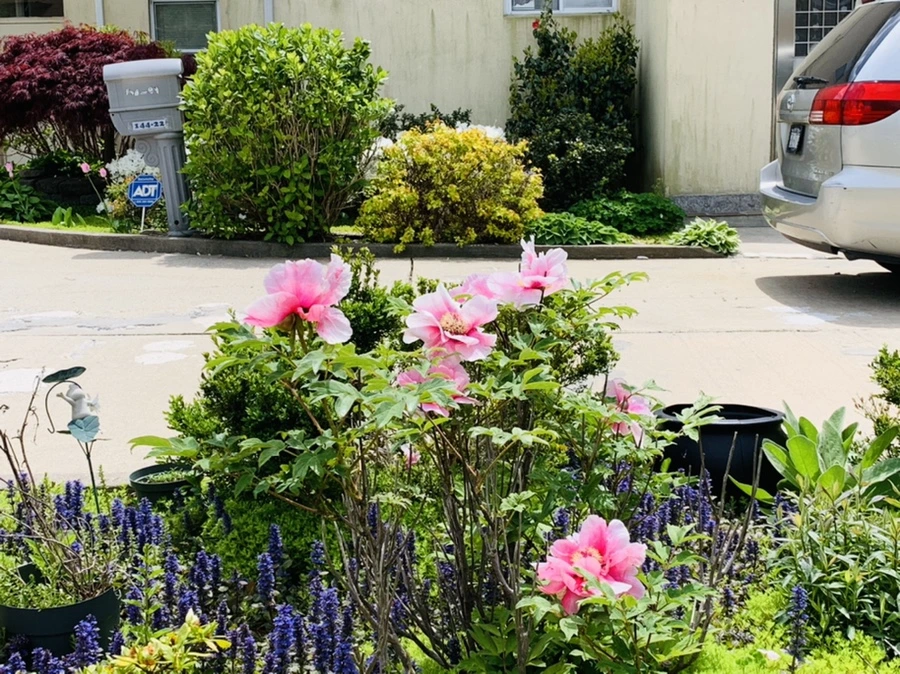 IMG_1475.jpg?type=w966