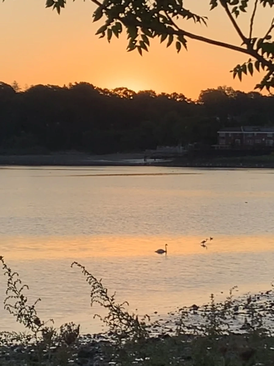 IMG_8582.jpg?type=w966