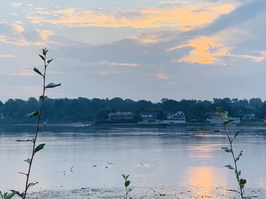 IMG_8188.jpg?type=w966