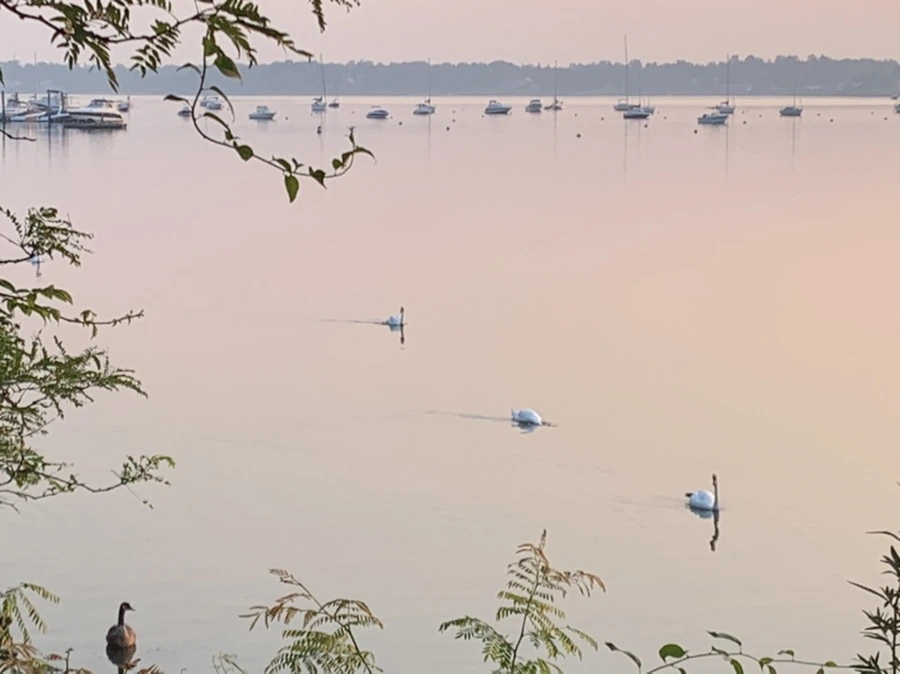 IMG_2081.jpg?type=w966