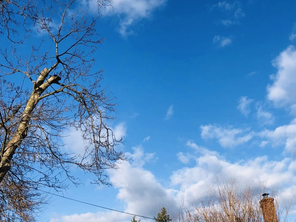 IMG_3998.jpg?type=w966