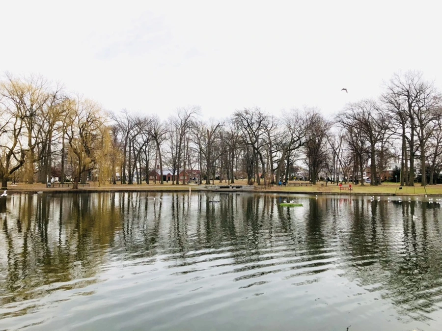 IMG_1005.jpg?type=w966