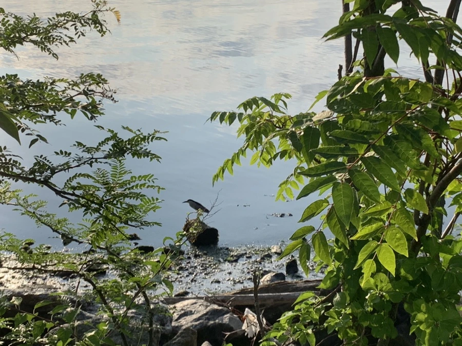 IMG_5836.jpg?type=w966