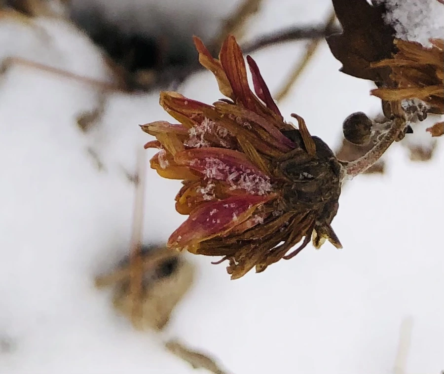 IMG_3313.jpg?type=w966