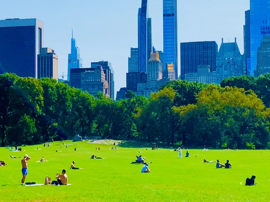 IMG_9689.jpg?type=w966