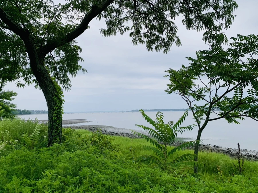 IMG_0762.jpg?type=w966