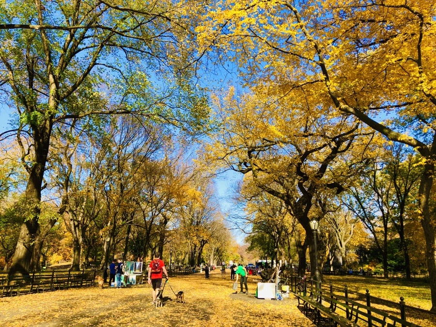 IMG_4262.jpg?type=w966