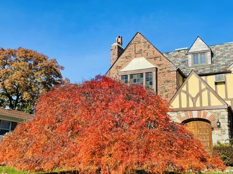 f_-ioB6OEkQS8z288DqMMt3msjI