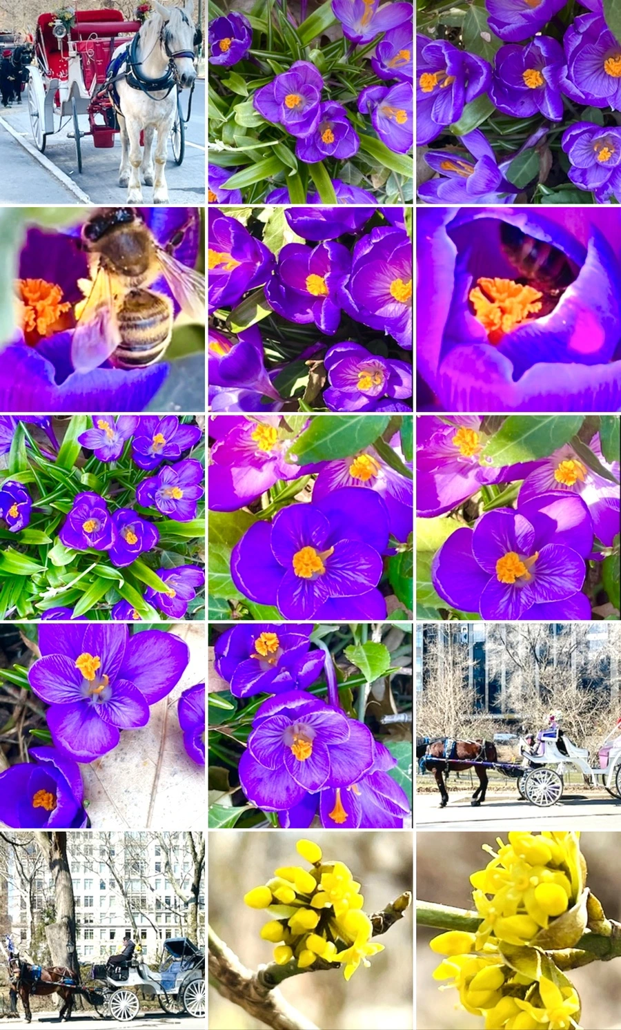 IMG_5645.jpg?type=w966