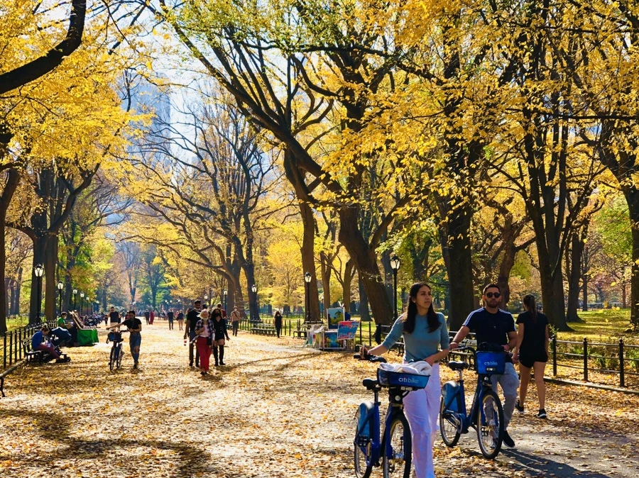 IMG_4309.jpg?type=w966