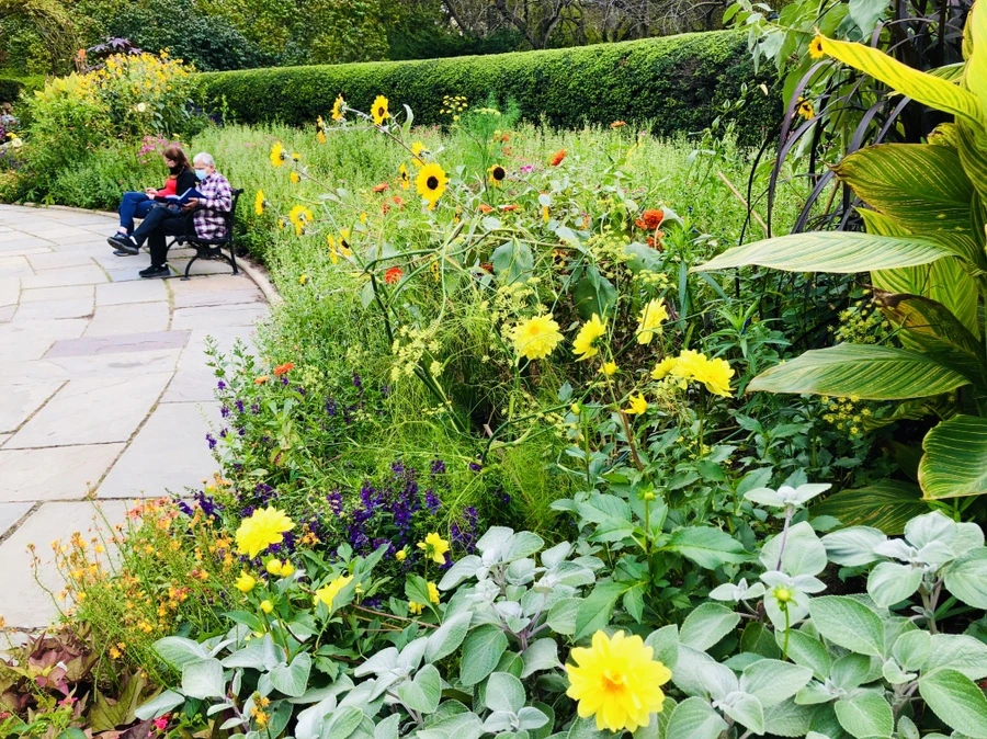 IMG_1830.jpg?type=w966