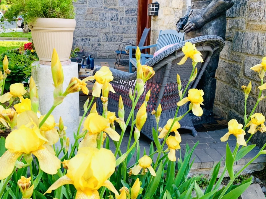 IMG_3293.jpg?type=w966