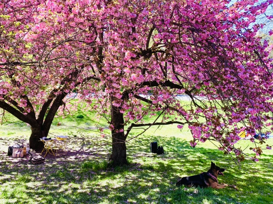 IMG_5950.jpg?type=w966