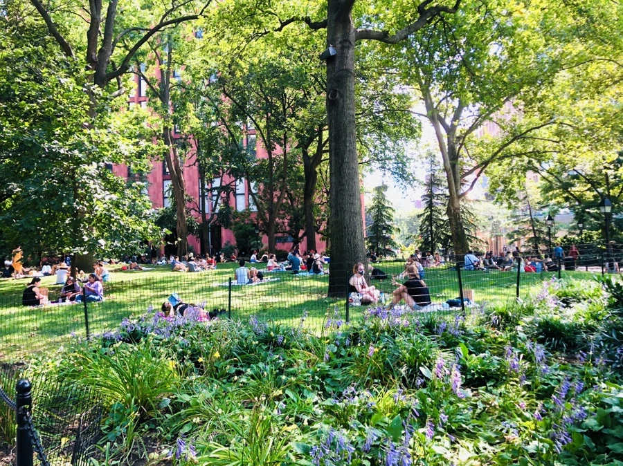 IMG_6362.jpg?type=w966