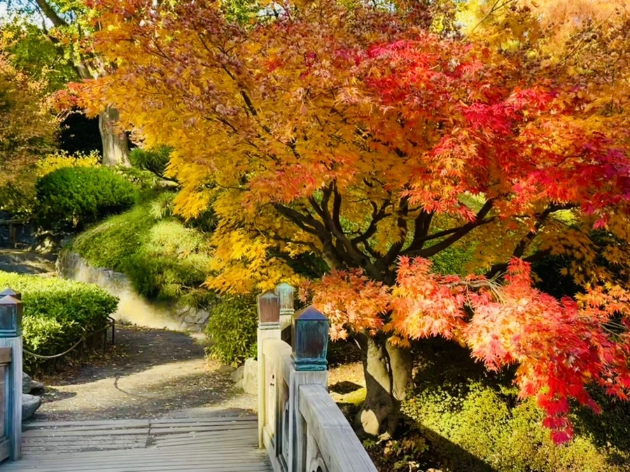 IMG_3123.jpg?type=w966