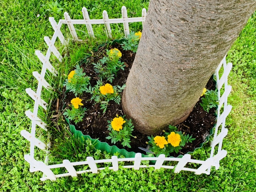 IMG_9058.jpg?type=w966