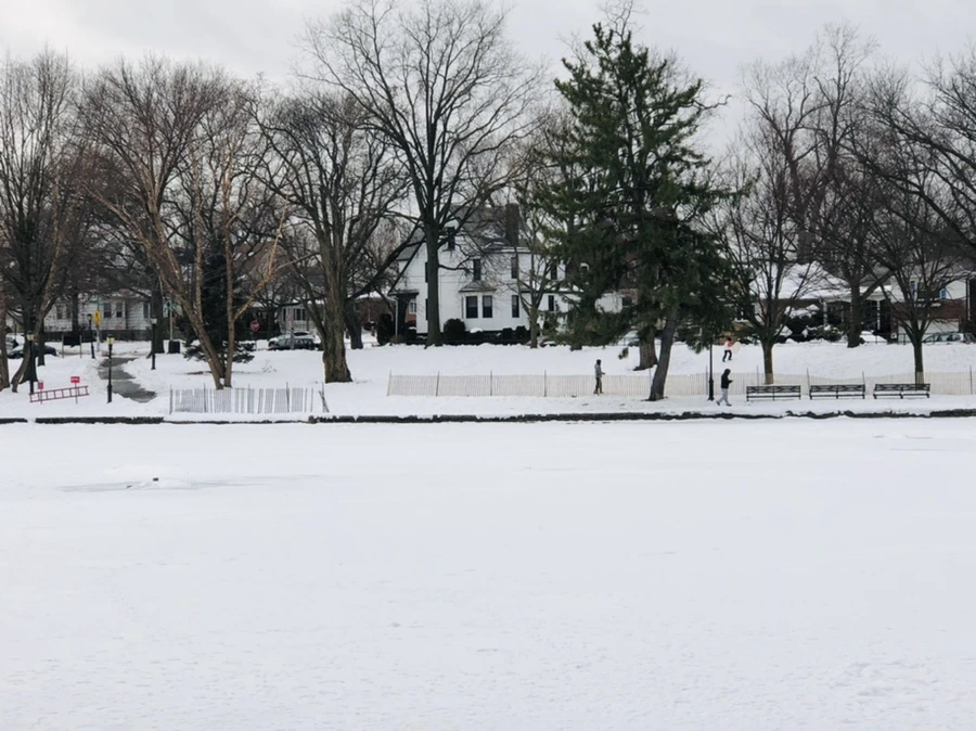 IMG_2501.jpg?type=w966