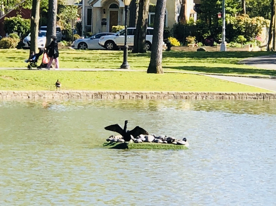 IMG_7295.jpg?type=w966