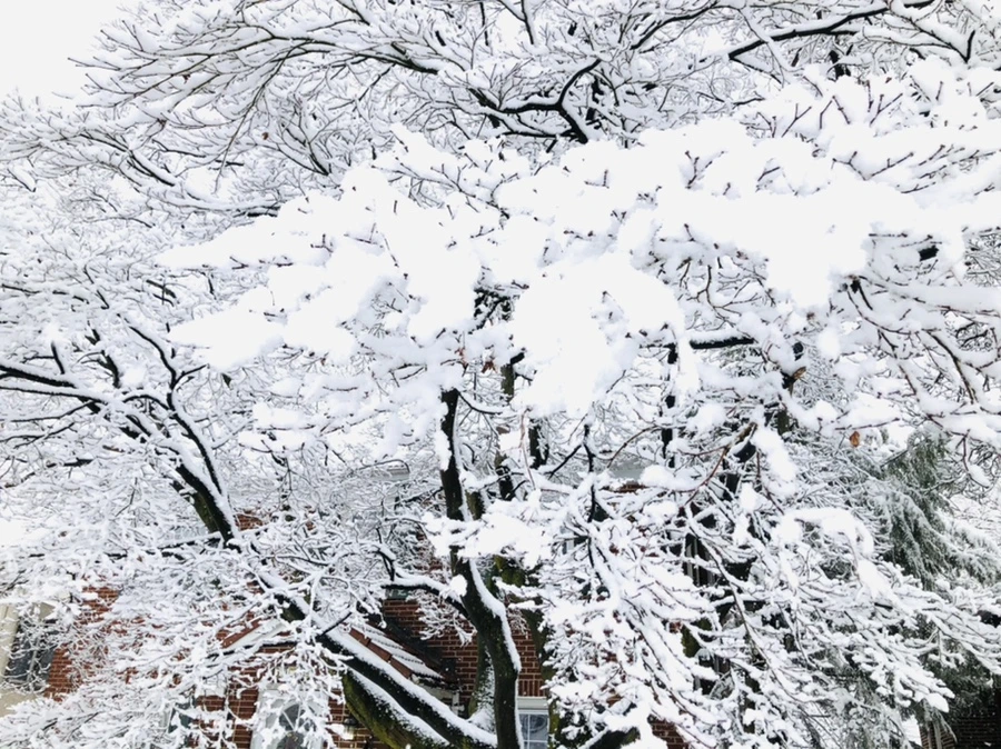 IMG_0969.jpg?type=w966