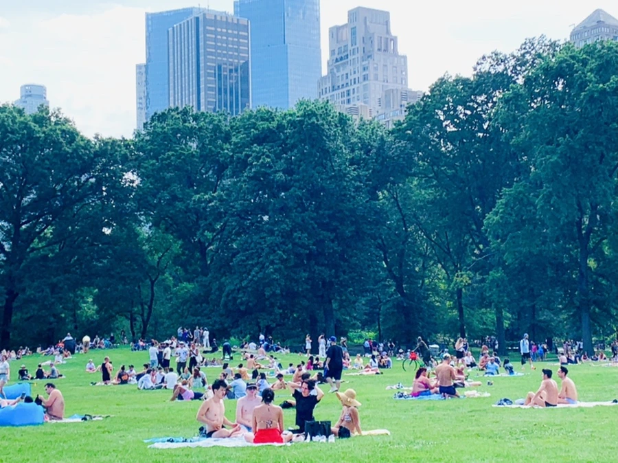 IMG_0586.jpg?type=w966