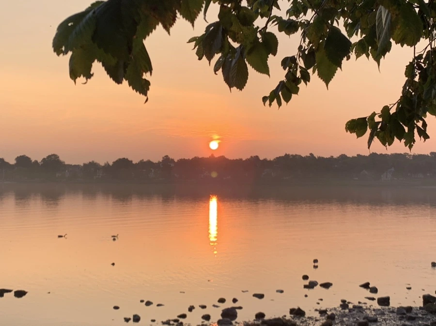 IMG_1380.jpg?type=w966