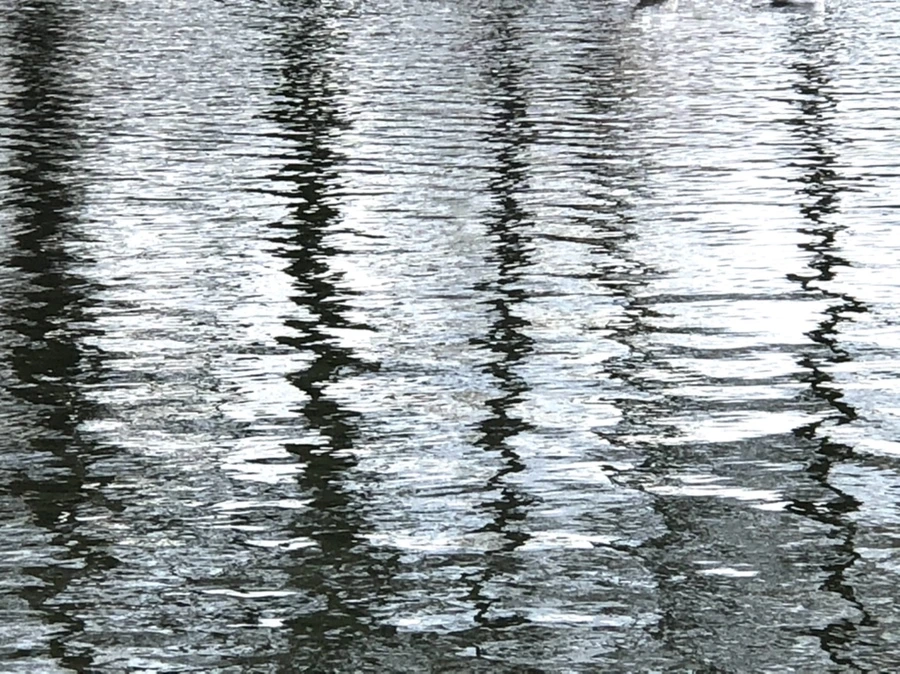 IMG_8750.jpg?type=w966