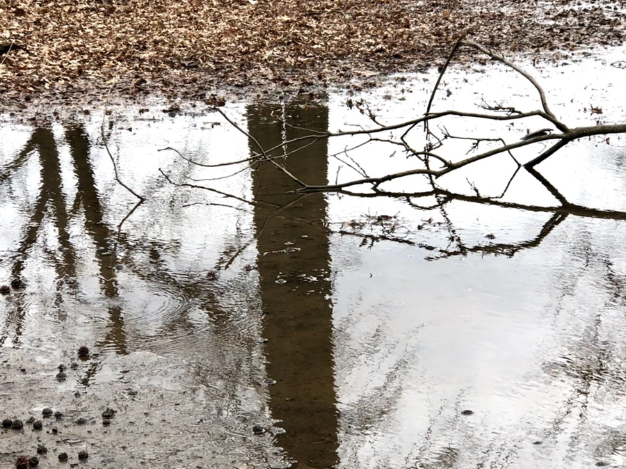 IMG_6545.jpg?type=w966