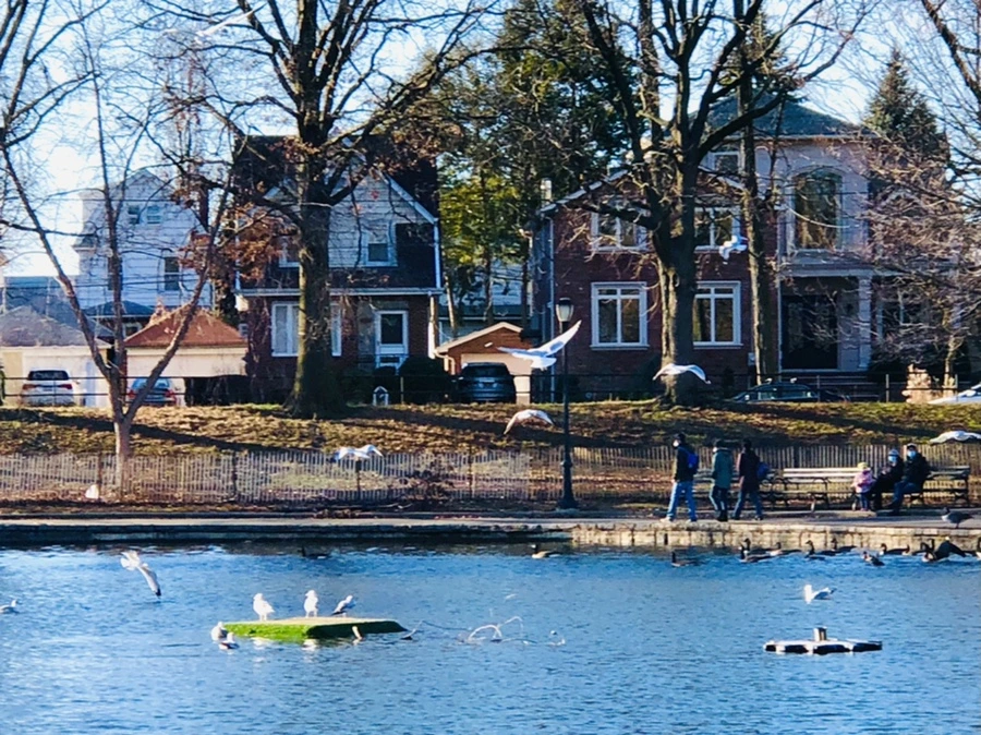 IMG_9257.jpg?type=w966