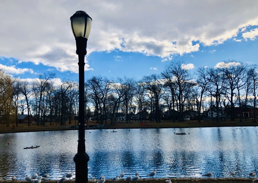 IMG_3583.jpg?type=w966