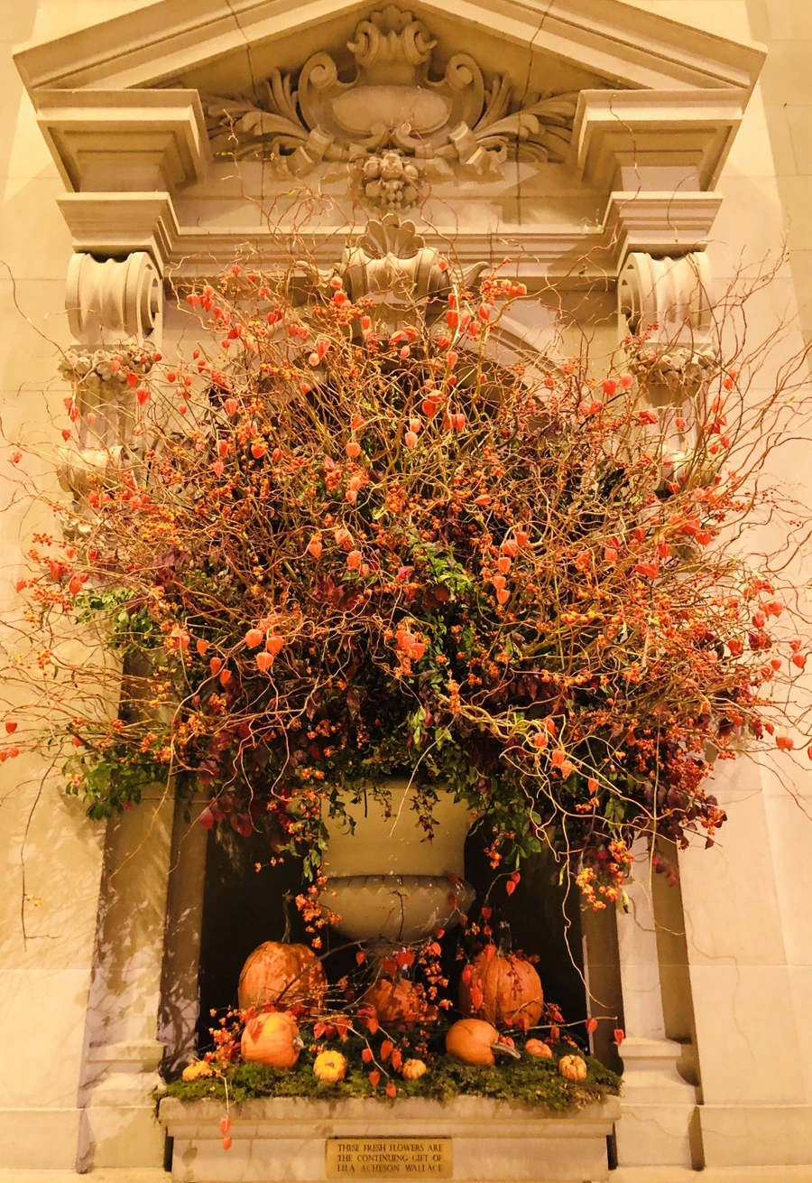 IMG_3164.jpg?type=w966