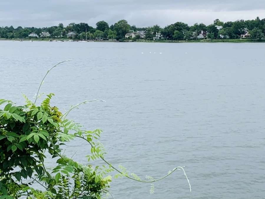 IMG_7755.jpg?type=w966