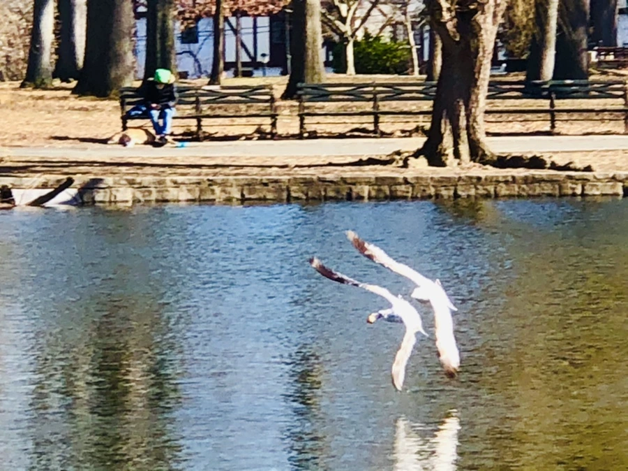 IMG_5566.jpg?type=w966