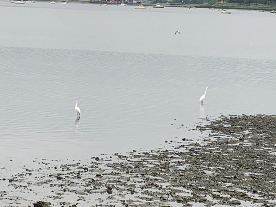 IMG_3673.jpg?type=w966