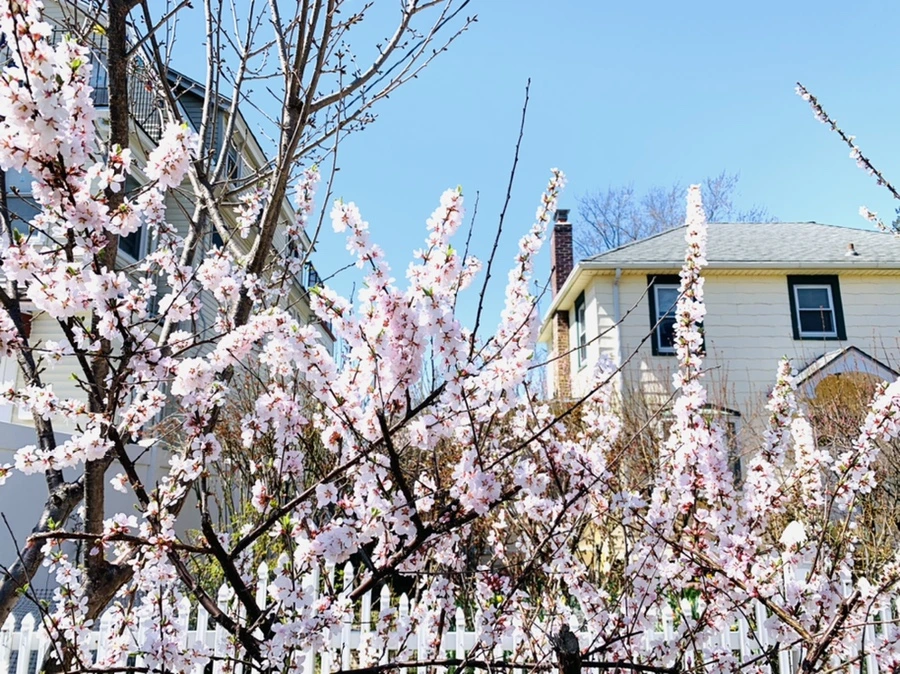 IMG_8027.jpg?type=w966