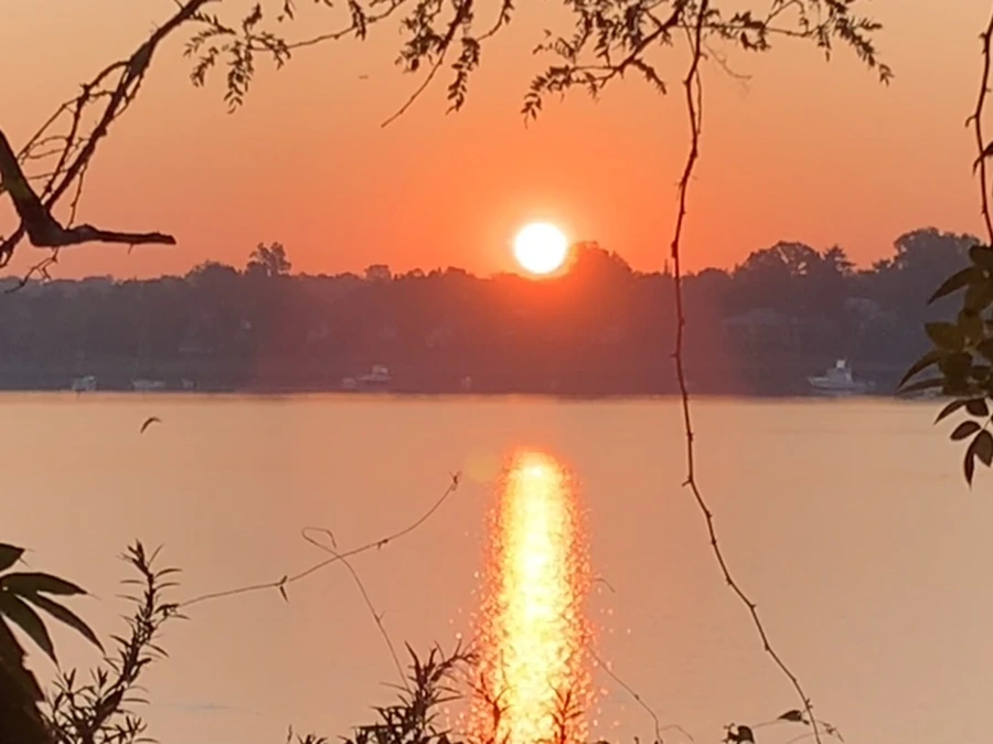 IMG_7192.jpg?type=w966