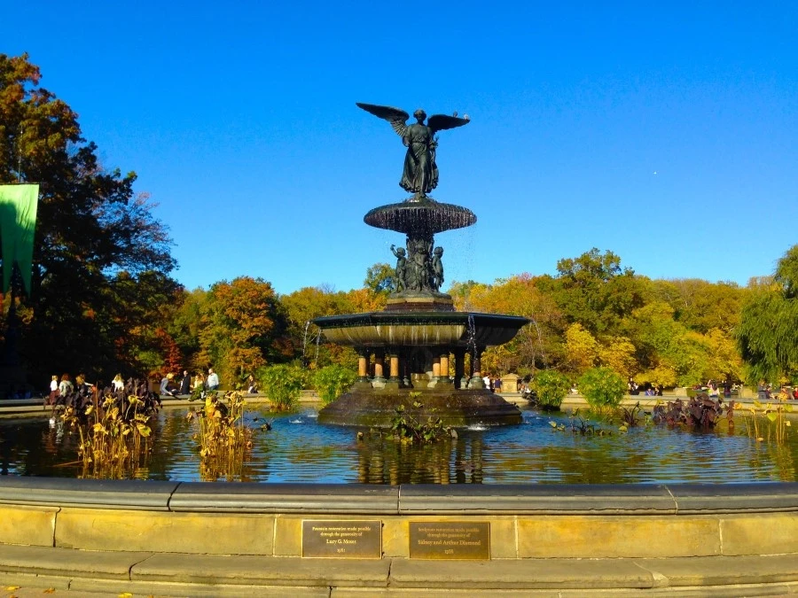 IMG_4926.JPG?type=w1