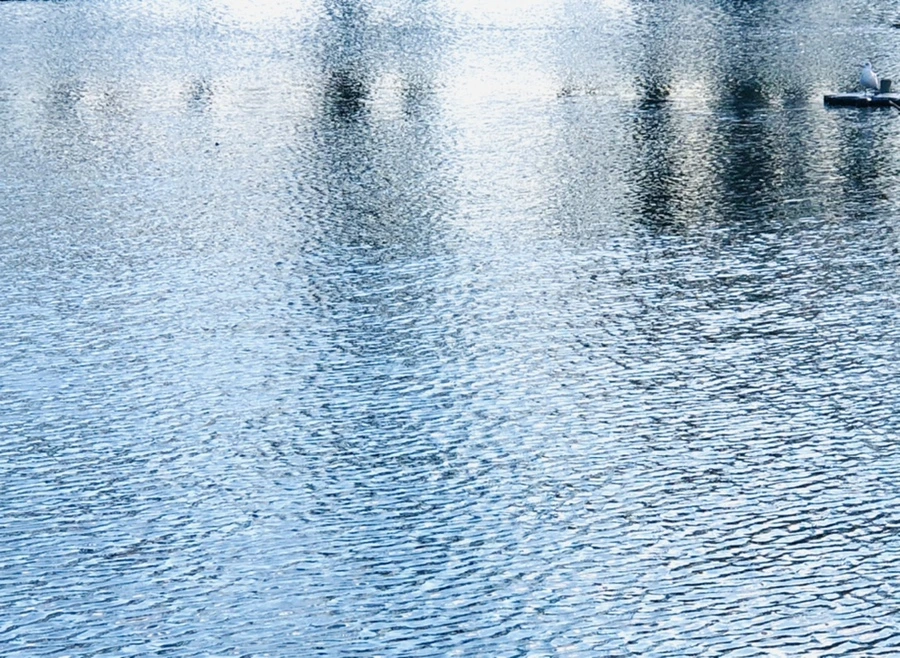 IMG_4210.jpg?type=w966