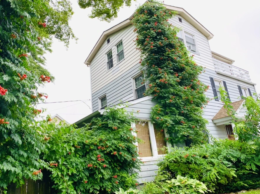 IMG_0025.jpg?type=w966