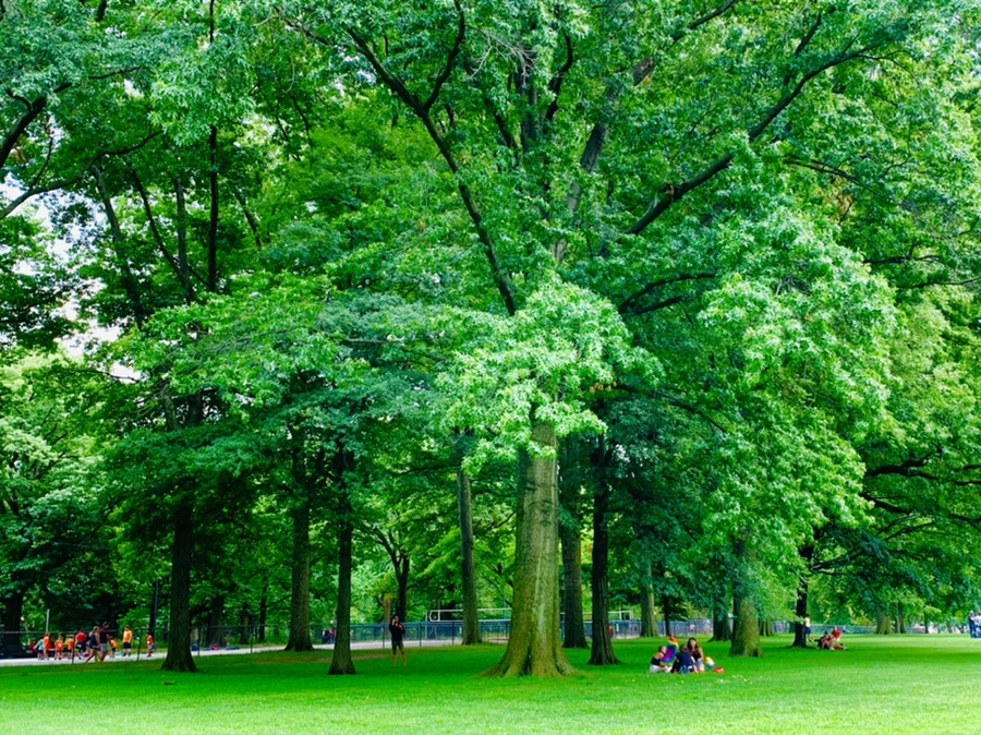 IMG_9853.jpg?type=w966