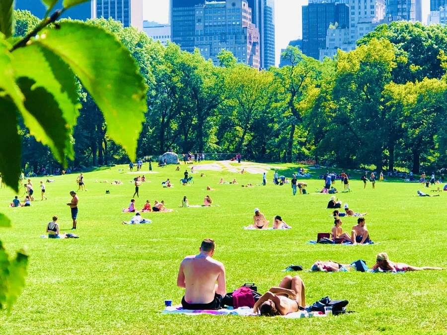 IMG_9357.jpg?type=w966