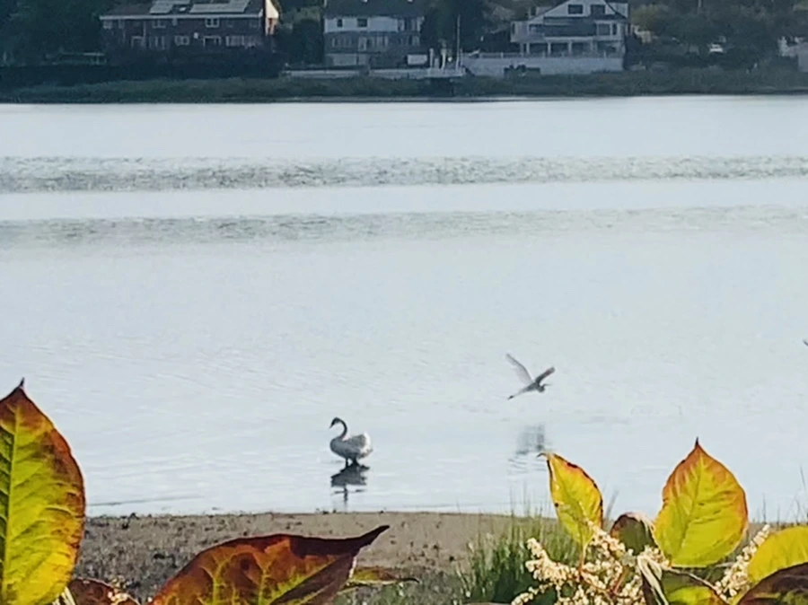 IMG_7802.jpg?type=w966