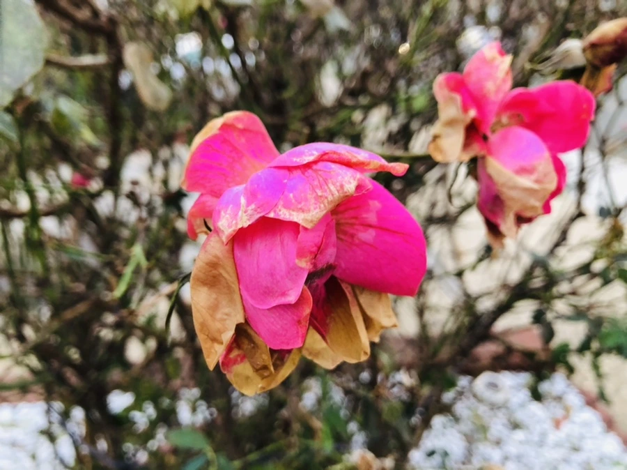 IMG_8205.jpg?type=w966