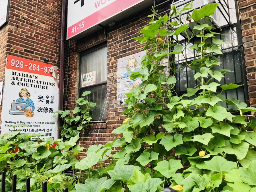 IMG_5172.jpg?type=w966