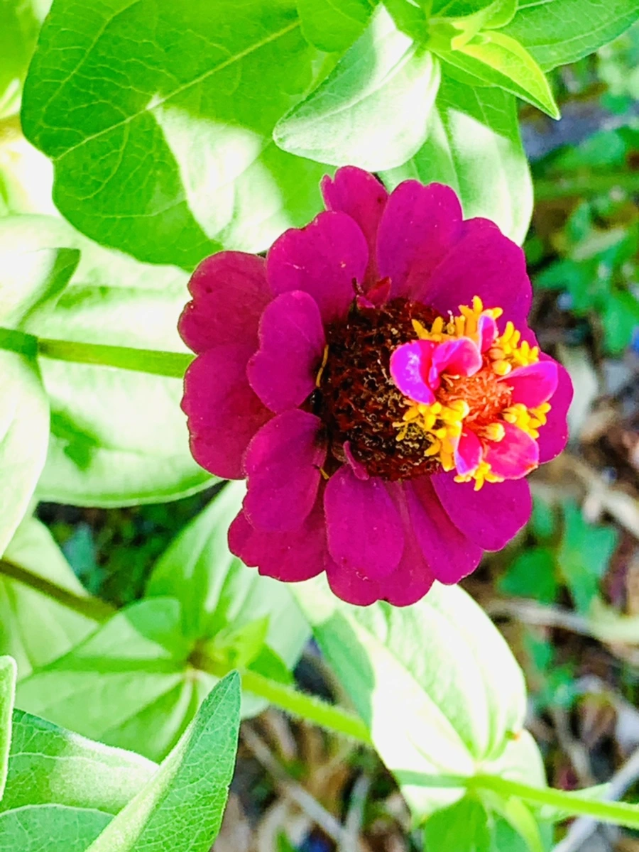 IMG_8730.jpg?type=w966