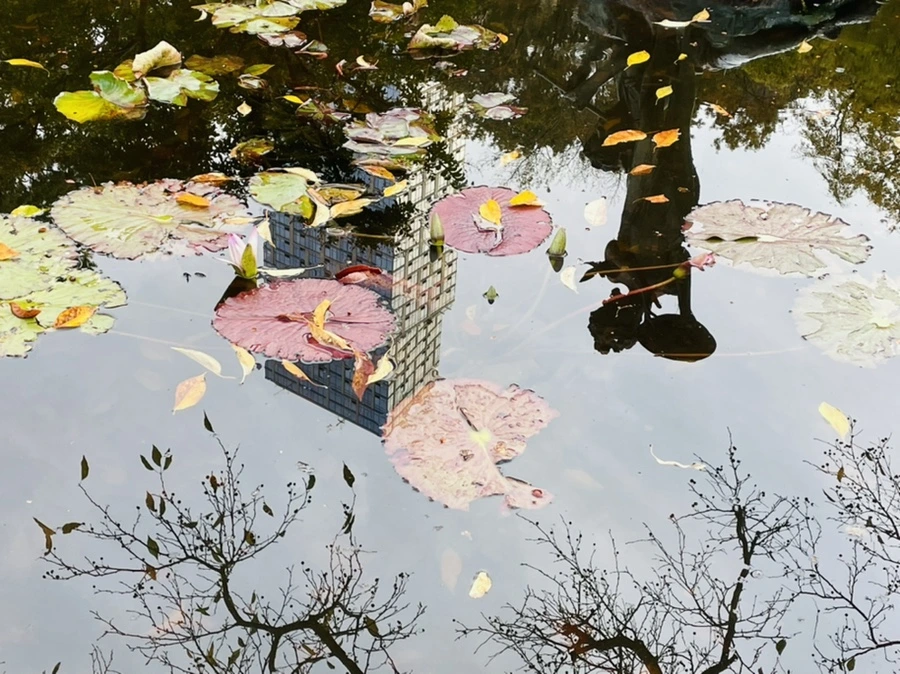 IMG_1261.jpg?type=w966